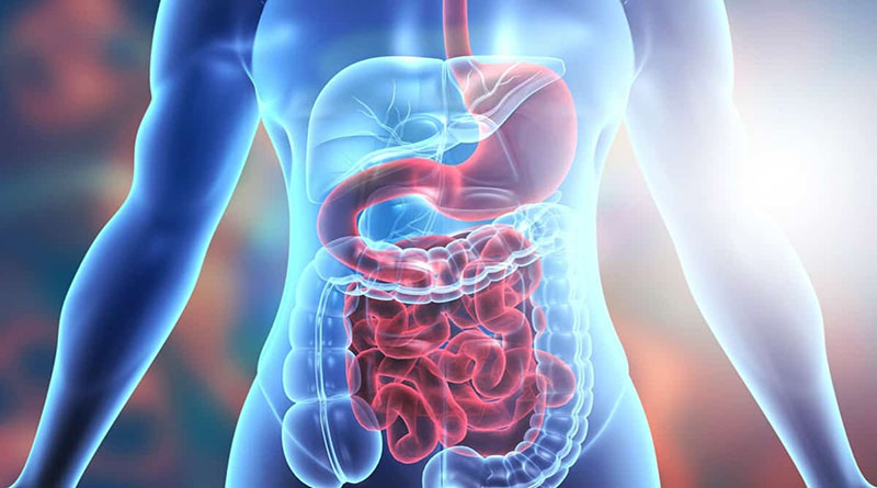 The-Top-10-Symptoms-of-Digestive-Issues-and-What-They-Mean