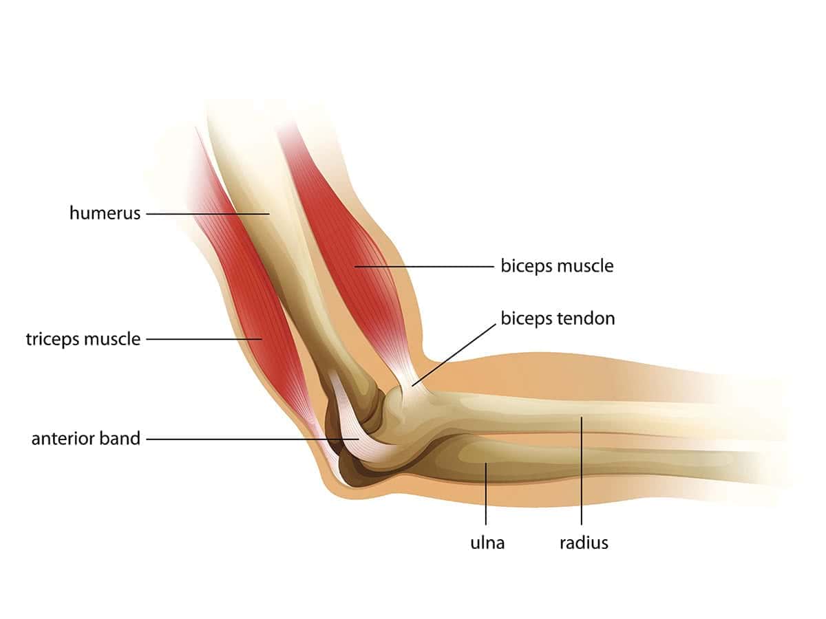 elbow-conditions-overview-1